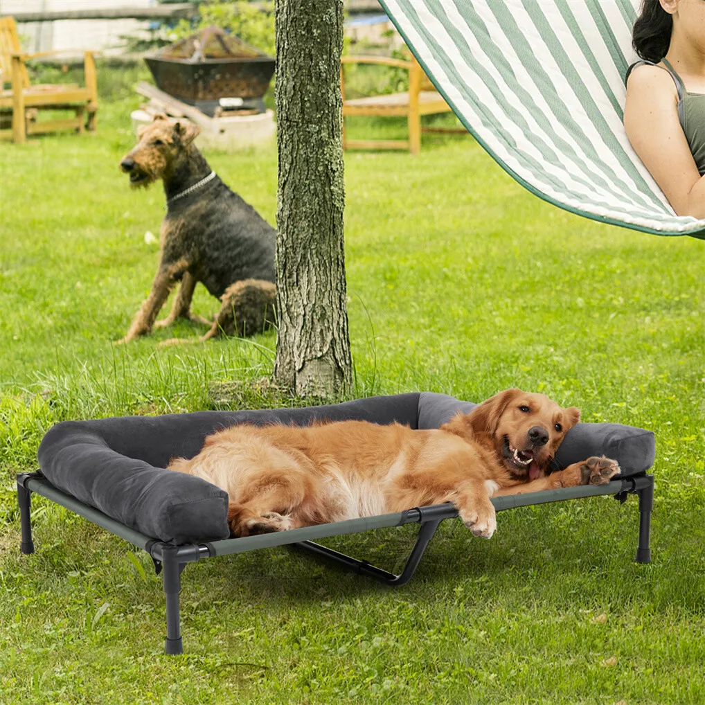 BINGOPAW屋外用犬用ベッド、高床式冷却ペット用ラウンジ - Outdoor Camping Cot のレビューと価格